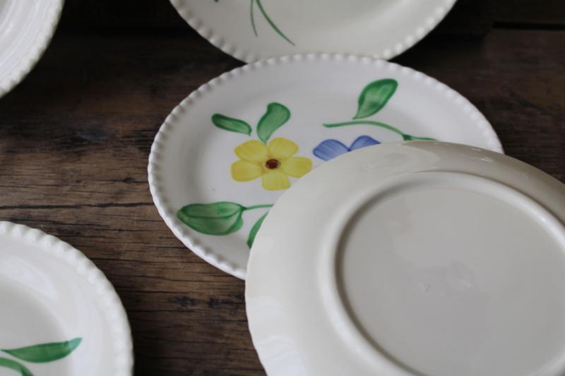 vintage Blue Ridge Southern Potteries plates hand painted daisies blue yellow