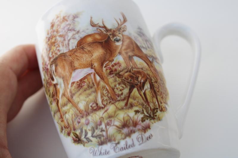 vintage Deer woodland animals Rosewood English fine bone china tea mug coffee cup