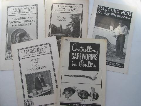vintage Dept of Ag farmer's bulletins how-to booklets, hens, turkeys, geese