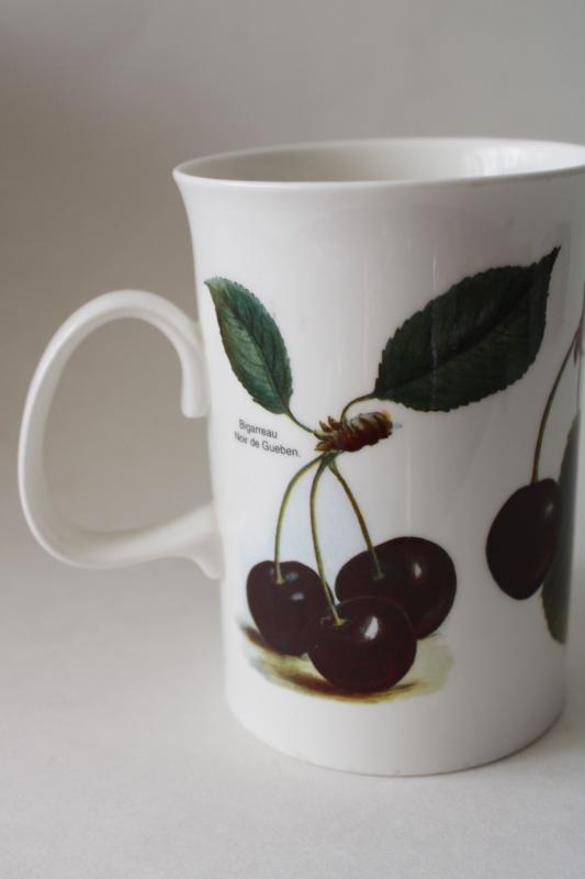 vintage Dunoon bone china tea mug coffee cup Orchard Fruits cherries botanical print