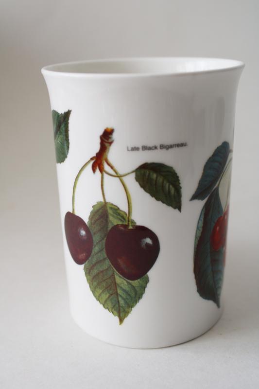 vintage Dunoon bone china tea mug coffee cup Orchard Fruits cherries botanical print