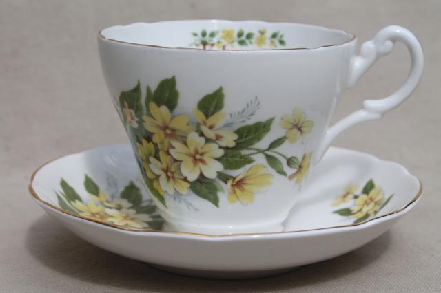 vintage English bone china tea cup & saucer for February birthday Primrose flower