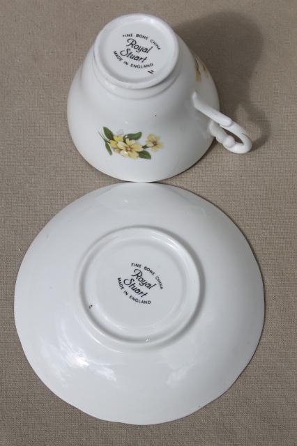 vintage English bone china tea cup & saucer for February birthday Primrose flower