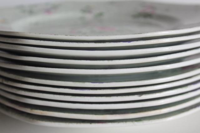 vintage English chintz china plates, Winkle Whieldon Ware pheasant bird Wessex pattern