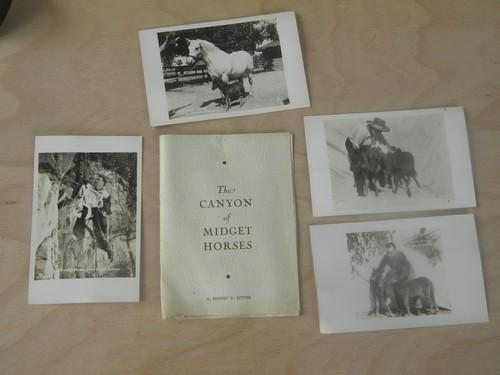 vintage Ernest Ritter Grand Canyon midget horses photo postcards/booklet