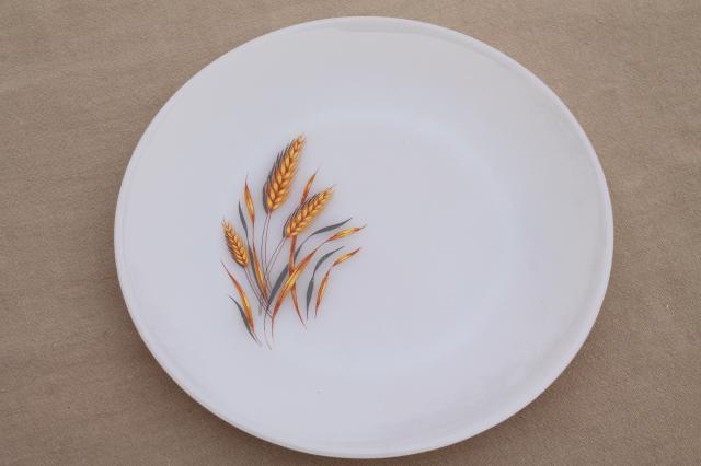 vintage Fire King golden wheat milk glass dinner plates, set of 8