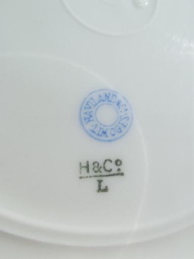 vintage Haviland Limoges china dinner plates, white w/ wide gold band
