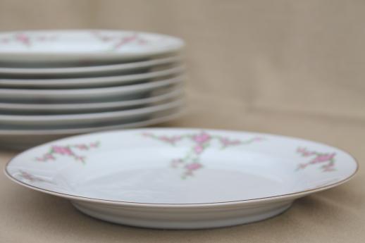 vintage Heinrich Bavaria H & C Rosalinda pink roses china luncheon plates set of 8