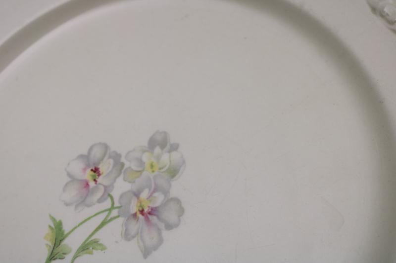 vintage Homer Laughlin Virginia Rose fluffy roses pattern china plates, set of 8