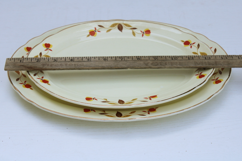 vintage Jewel Tea Autumn Leaf pattern Superior Hall Quality china dinnerware large-small platters