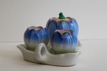 vintage Made in Japan hand painted china crocus flower S&P shakers mustard pot condiment set