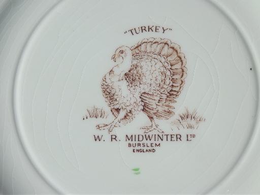 vintage Midwinter / Wedgwood china Thankgiving turkey dinner plates set