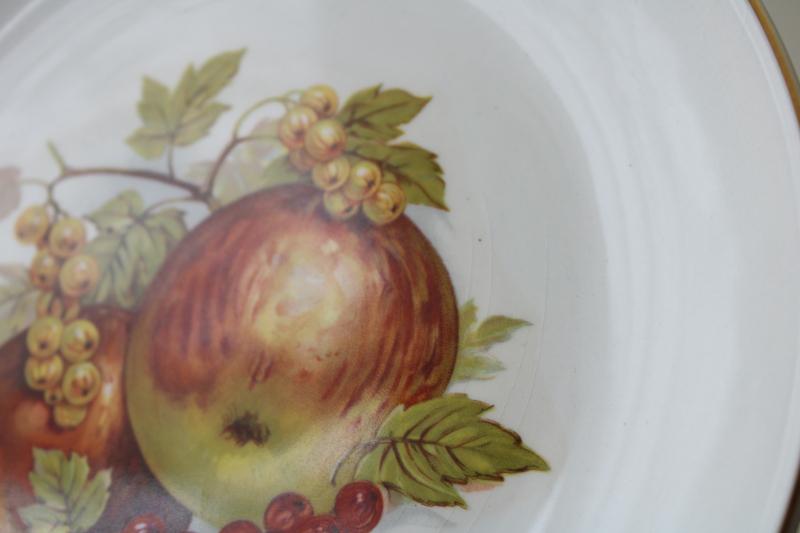 vintage Myott Staffordshire china plates, fruit pattern dessert or salad plates