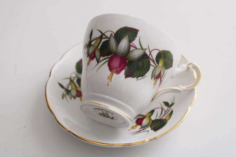 vintage Regency England bone china tea cup & saucer set, fuchsia plant flowers