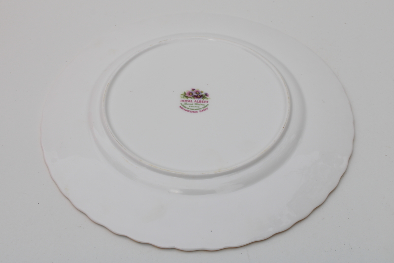 vintage Royal Albert England bone china plate September flower Michaelmas daisy