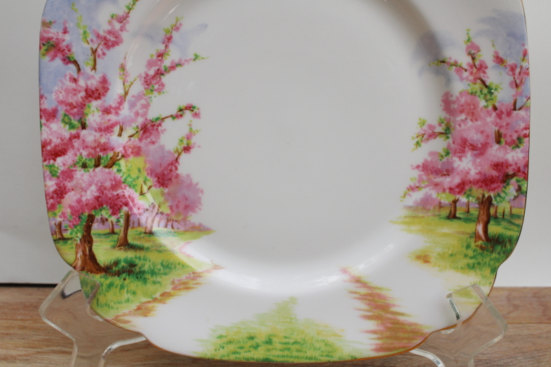 vintage Royal Albert bone china plate Blossom Time pink cherry trees in bloom