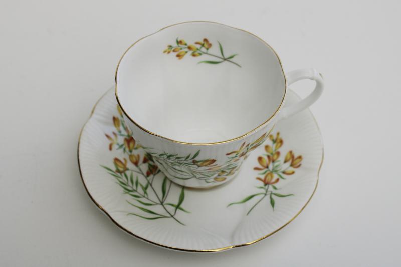 vintage Royal Albert china tea cup & saucer, Shelley shape yellow gold wayside flowers?