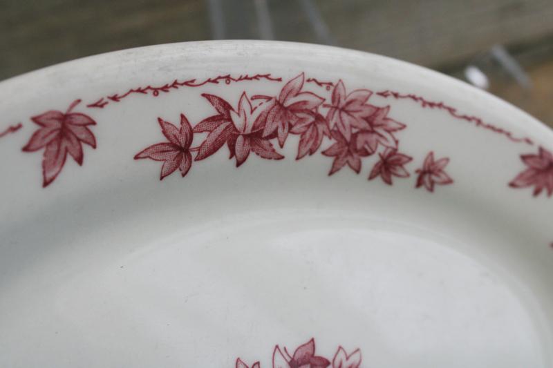 vintage Shenango ironstone china oval plate or butter dish, red transferware leaves print