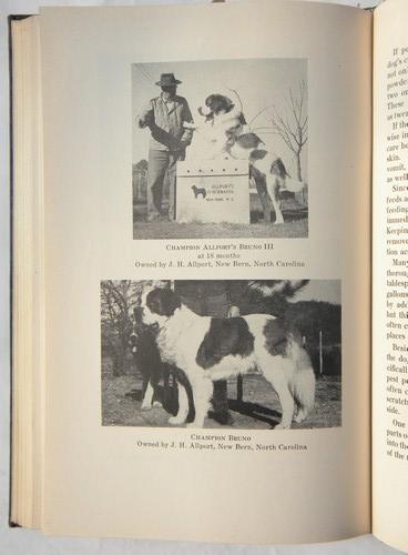 vintage The Complete Saint Bernard w/many dog photos&illustrations