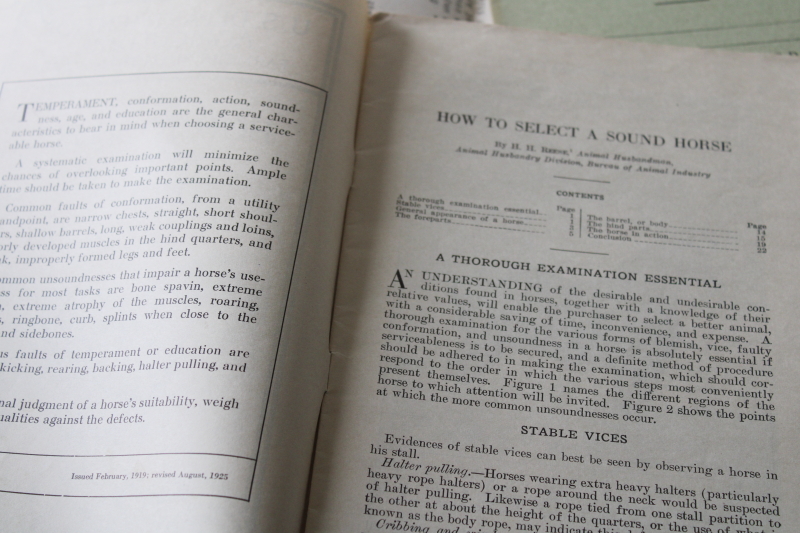 vintage USDA booklets 1930s Horses on the Farm, How to Select a Sound ...