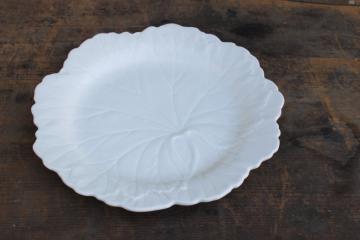 vintage Wedgwood china begonia or cabbage leaf plate, all white creamware majolica