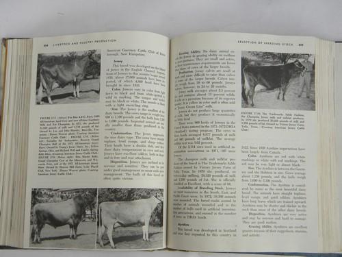 vintage agricultural book livestock & poultry production, farm library