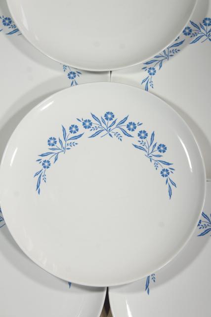 vintage blue cornflower Corningware dinner plates, set of 8