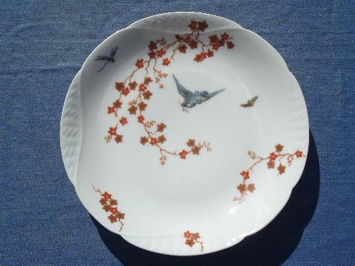vintage bluebird china plate, old antique Haviland Limoges - France