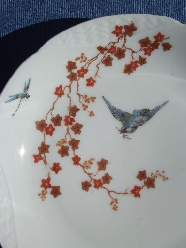 vintage bluebird china plate, old antique Haviland Limoges - France
