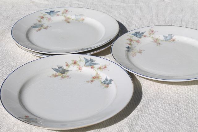 vintage bluebird of happiness plates, antique dishes w/ Carrollton china mark