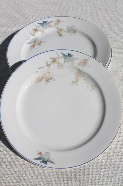 vintage bluebird of happiness plates, antique dishes w/ Carrollton china mark