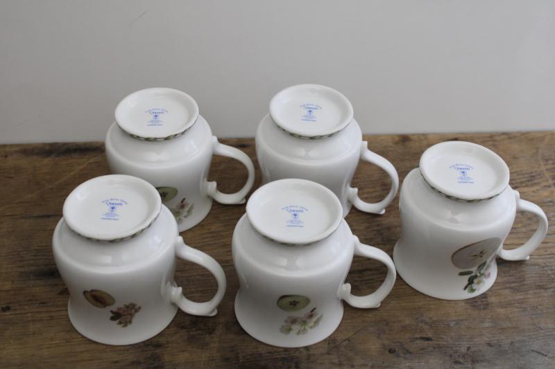 vintage botanical prints mugs or large tea cups, Queens fine bone china Hookers Fruit 
