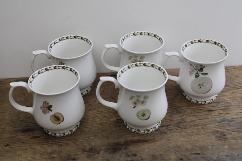 vintage botanical prints mugs or large tea cups, Queens fine bone china Hookers Fruit 