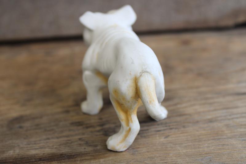 vintage bulldog figurine grumpy growling dog unmarked bisque china, Germany?