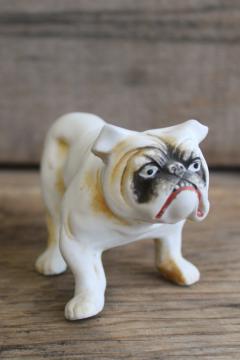 vintage bulldog figurine grumpy growling dog unmarked bisque china, Germany?