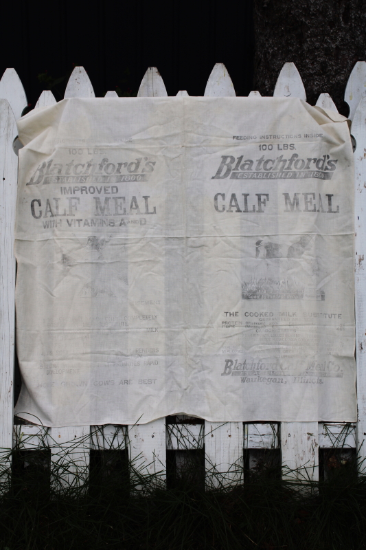vintage cotton flour sack towel, farmhouse kitchen feedsack fabric advertising calf meal