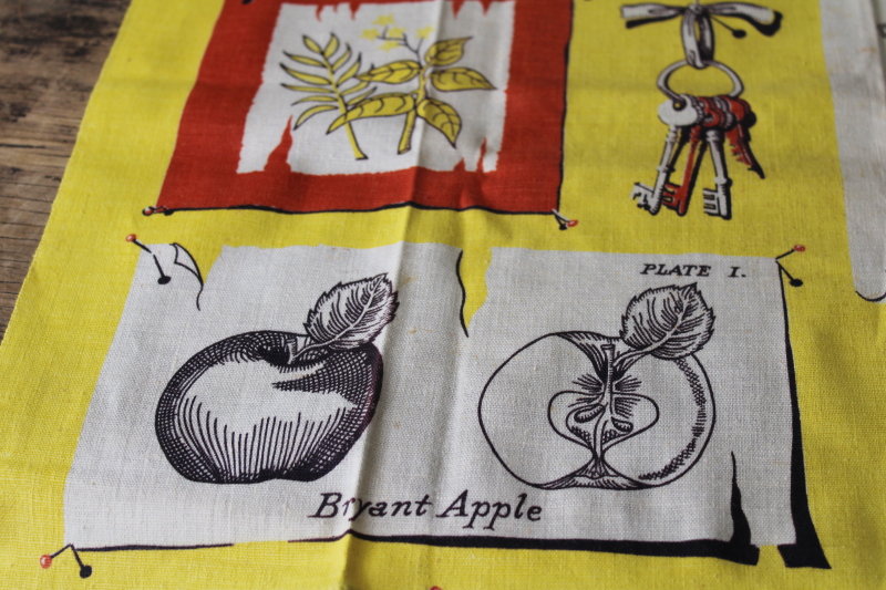 vintage cotton linen rayon tea towel, botanical illustration apples, antique print