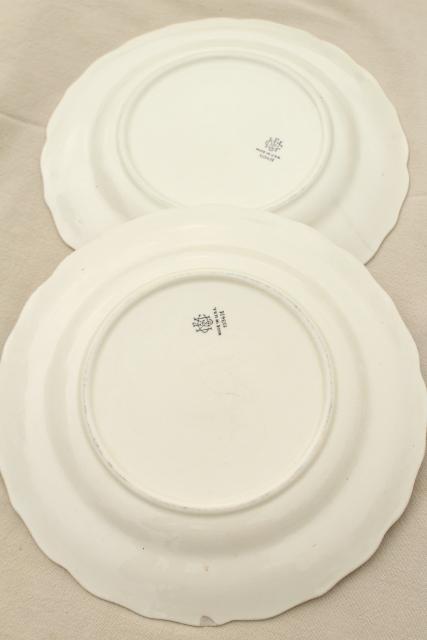 vintage creamware china plates, Vogue embossed border Mount Clemens pottery