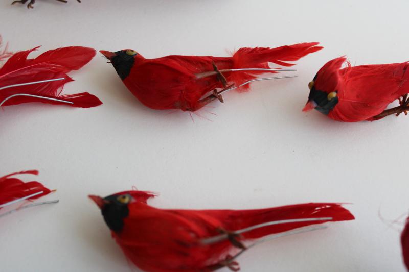 vintage feather birds, large & small red cardinals Christmas holiday ...