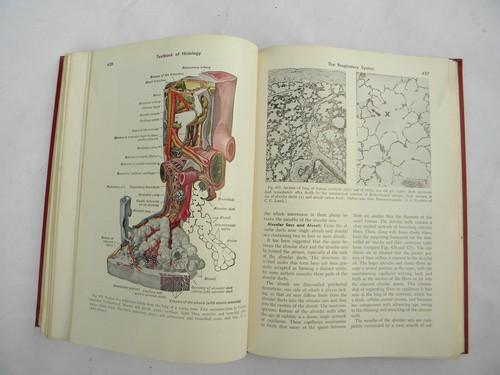 vintage medical Textbook of Histology with over 200 color illustrations