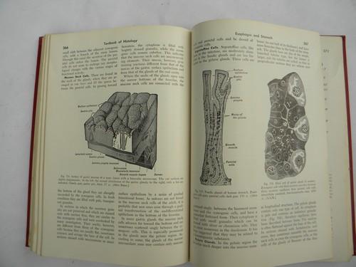 vintage medical Textbook of Histology with over 200 color illustrations