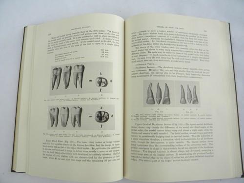 vintage medical dentistry book Oral Anatomy with 300+ illustrations