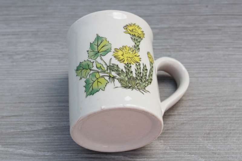 vintage mug w/ coltsfoot botanical illustration, coffee cup for herbalist or herb gardener