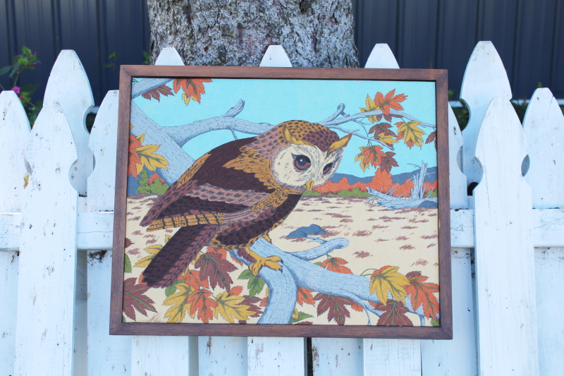 vintage paint by number style art, retro hand colored owl print in wood frame