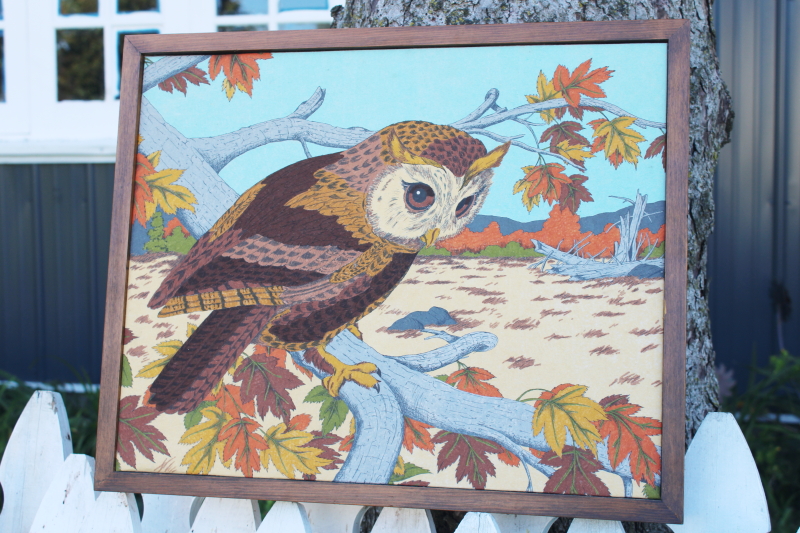 vintage paint by number style art, retro hand colored owl print in wood frame