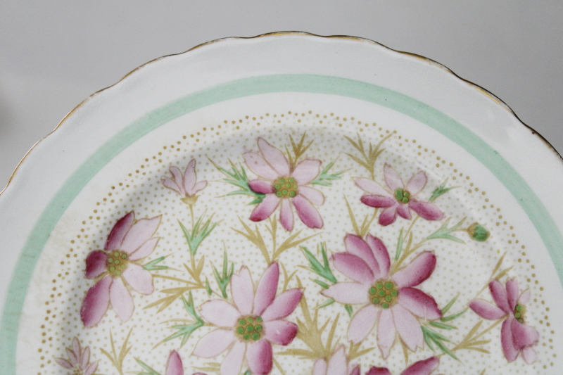 vintage pink and mint green cosmos floral English bone china plate, Tuscan backstamp