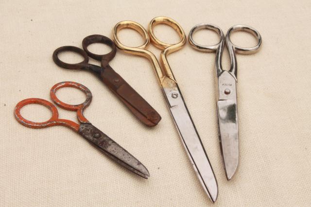 Vintage Scissors print by Vintage Educational Collection