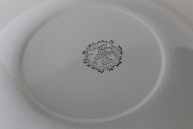 vintage souvenir of Niagara Falls, scenic views blue & white transferware china plate