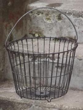 vintage wire egg basket, big old gathering basket for eggs, produce