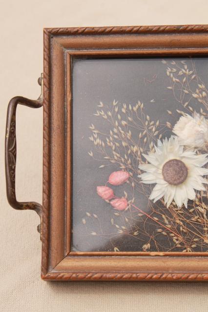 vintage wood framed plant specimen mounts under glass, dried pressed flowers tray